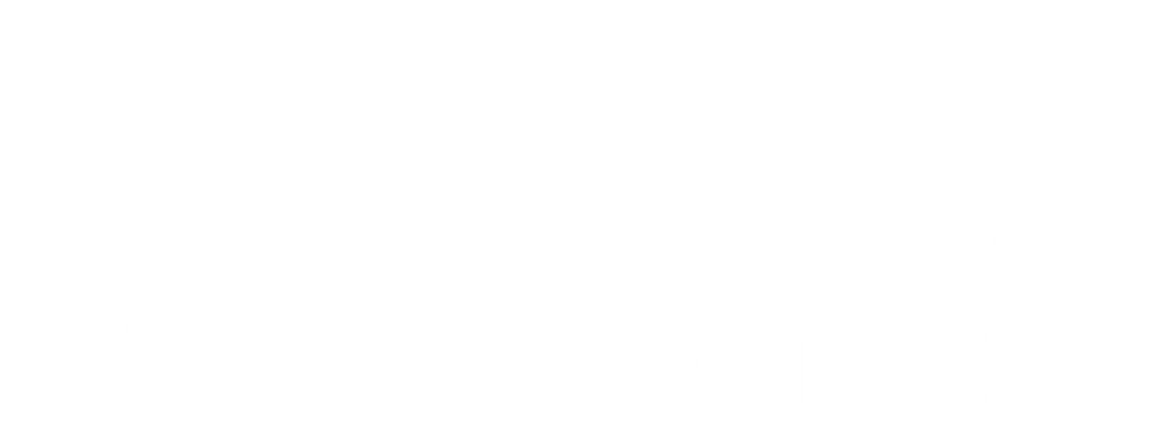 A white background with a few lines on it