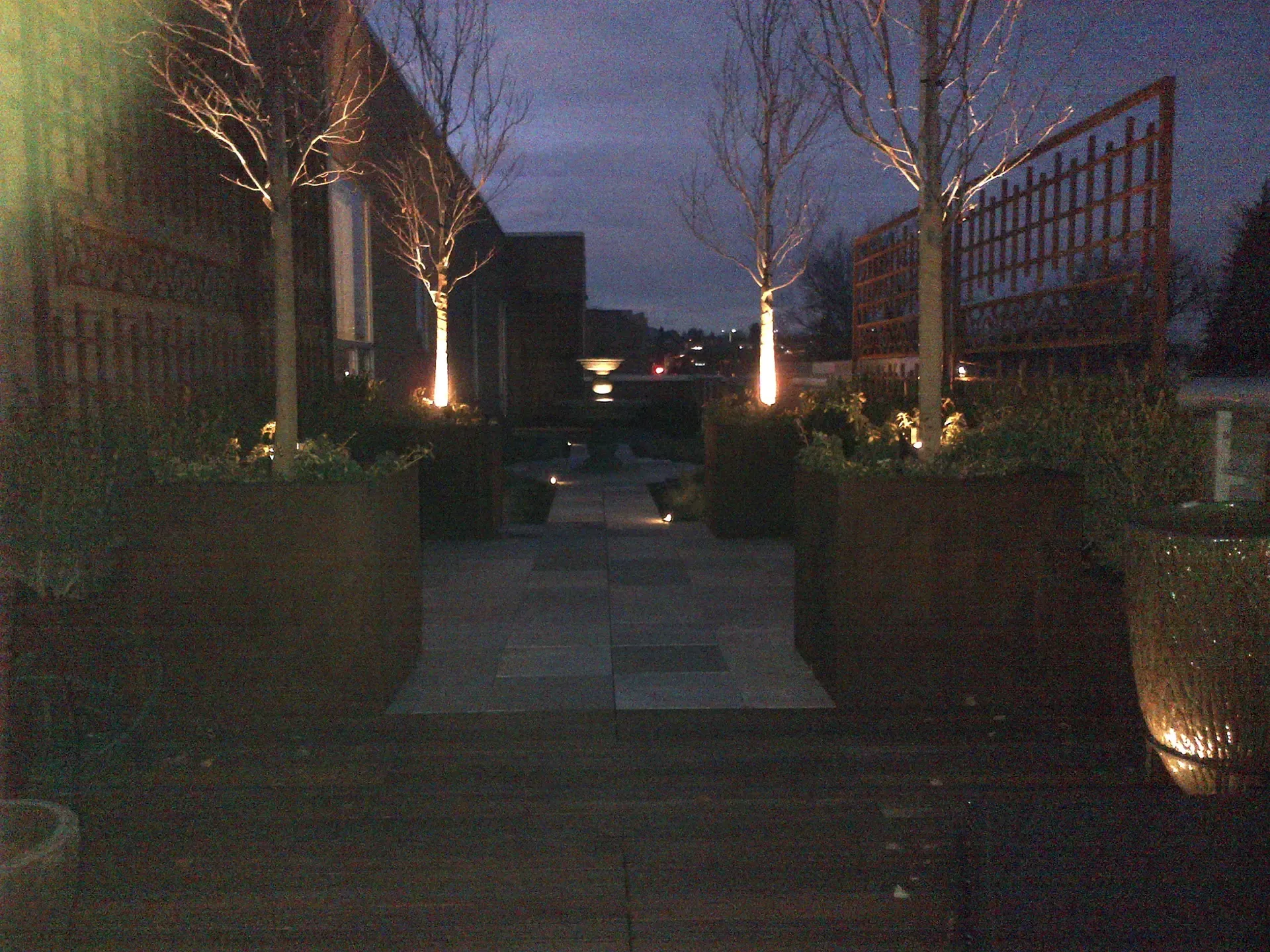 A row of potted plants are lit up at night