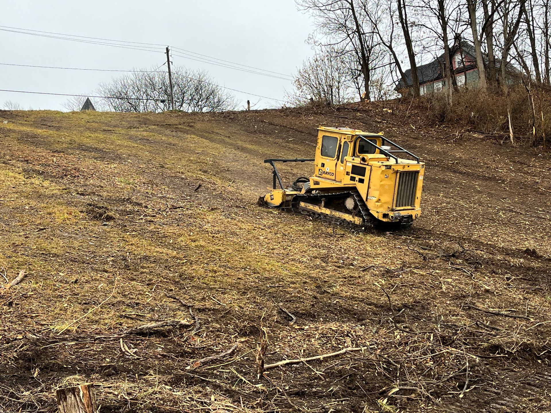 Rayco C200 Forestry Mower mulching stumps alongside highway in Massillon, OH