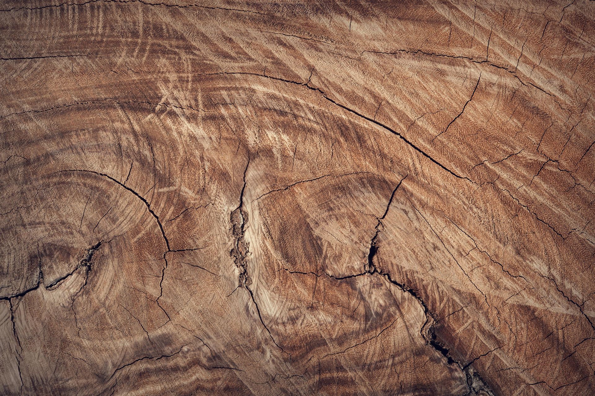 Close-up of cracked brown wood grain with swirling texture