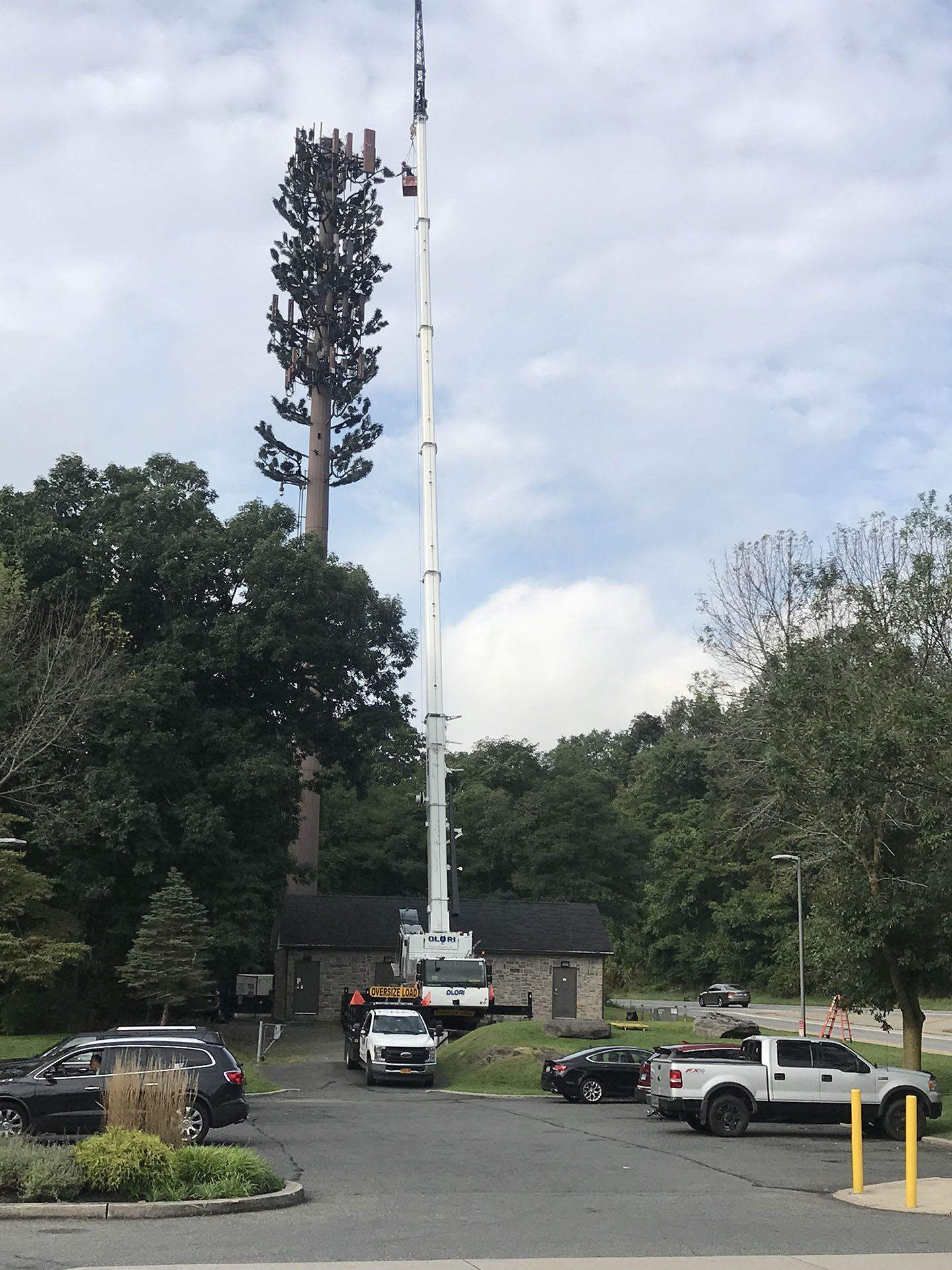 Signal Tower Tree — Nanuet, NY — Olori Crane Service, Inc.