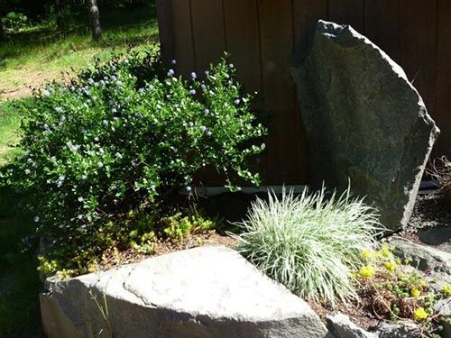 Lawn Landscape Design — Rockeries in Shelton, WA