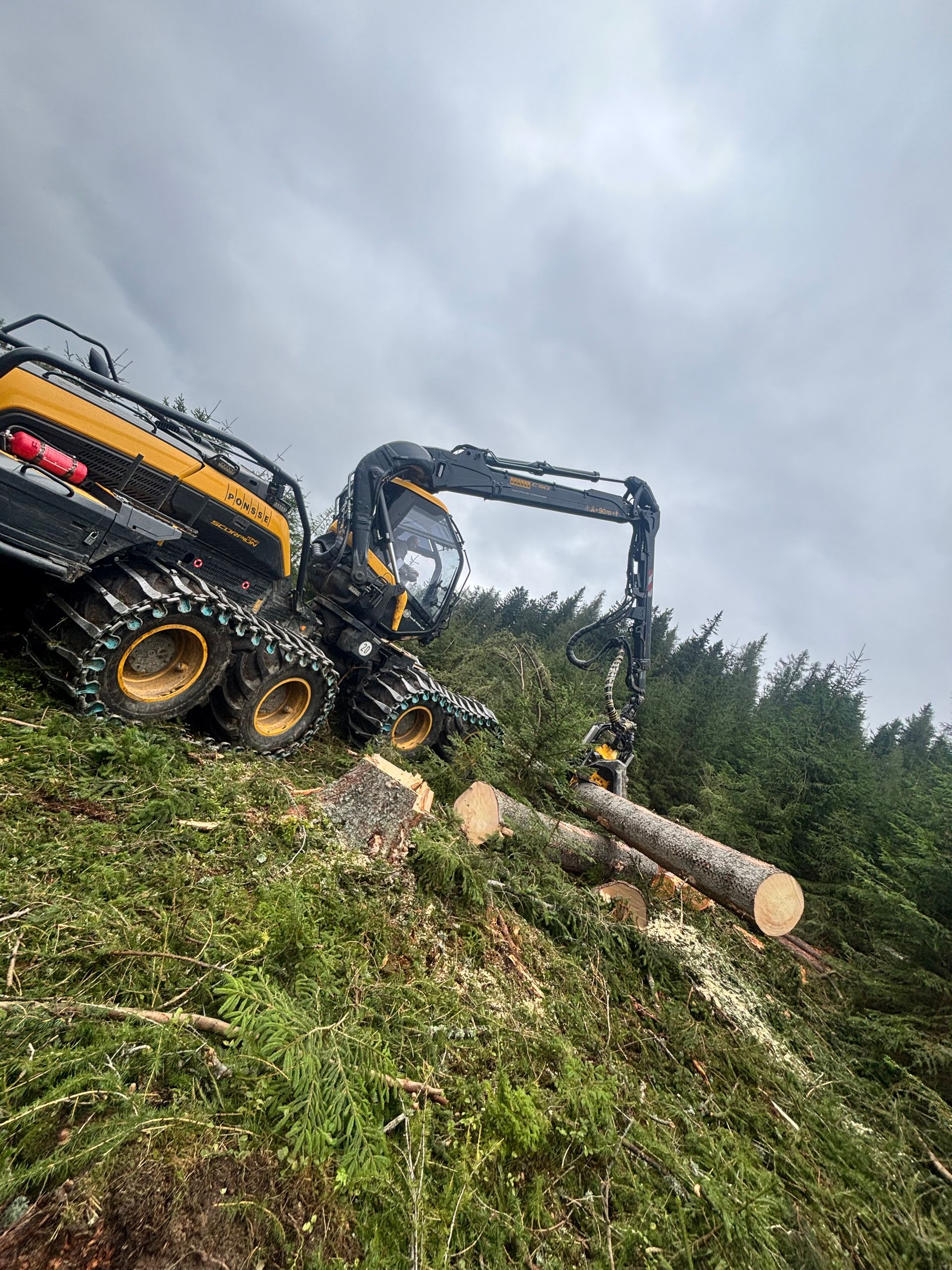 Ein Forstharvester am Hang, der einen Baumstamm fällt. Bewölkter Himmel darüber.