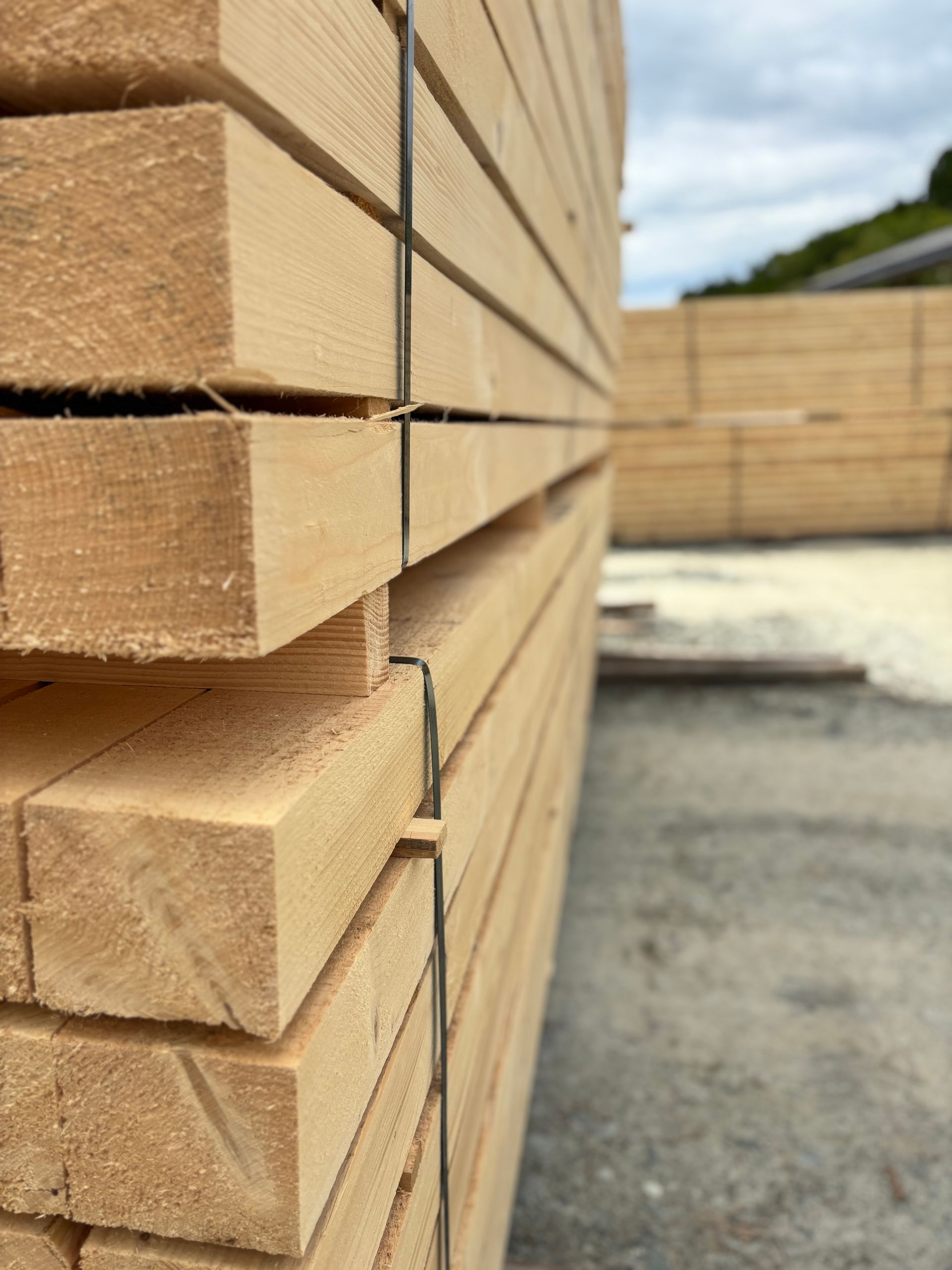 Ein Stapel frisch geschnittener Holzbretter, zusammengebunden mit Metallbändern.