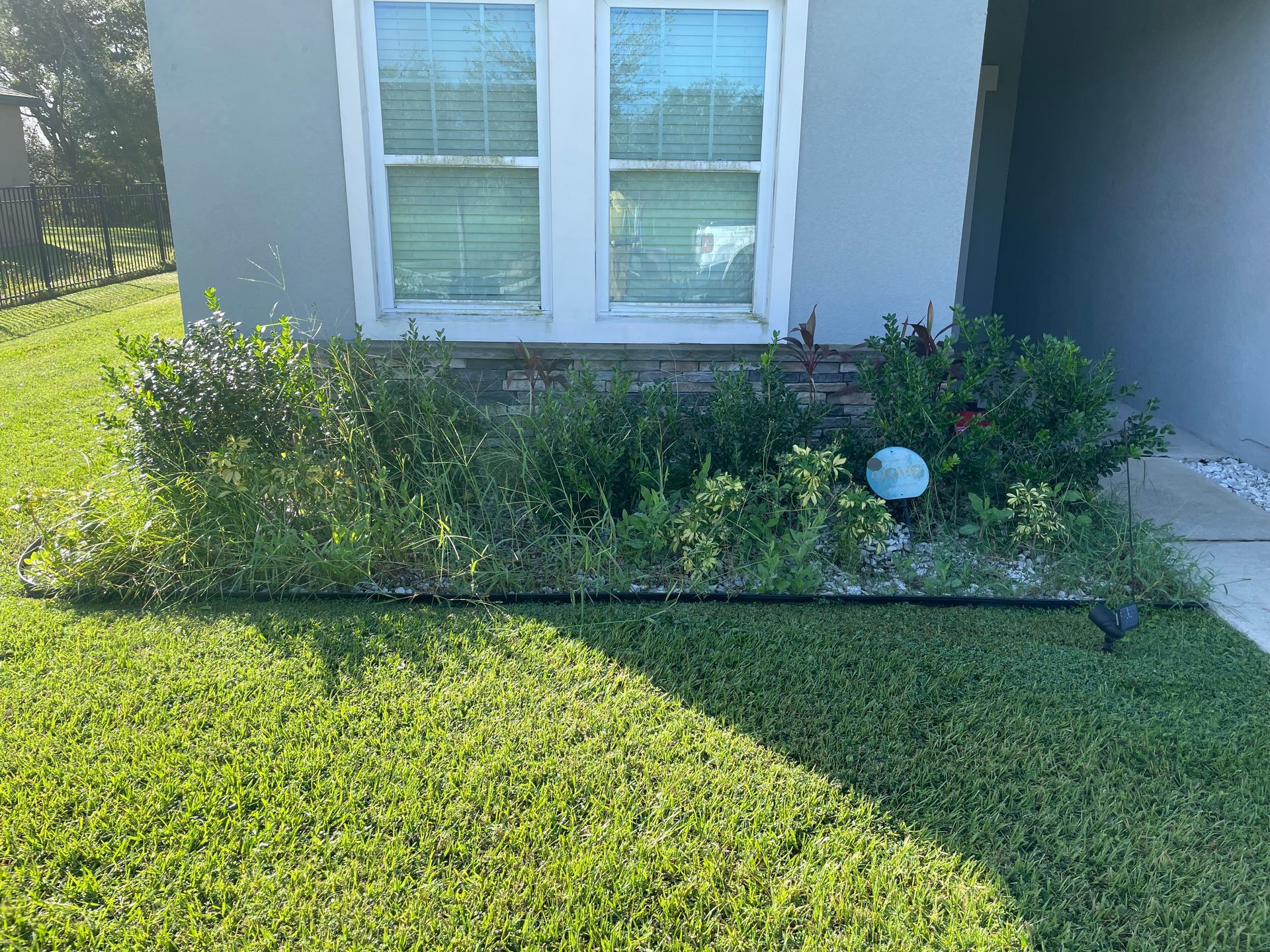 Before a landscaping service by Goin Mowin