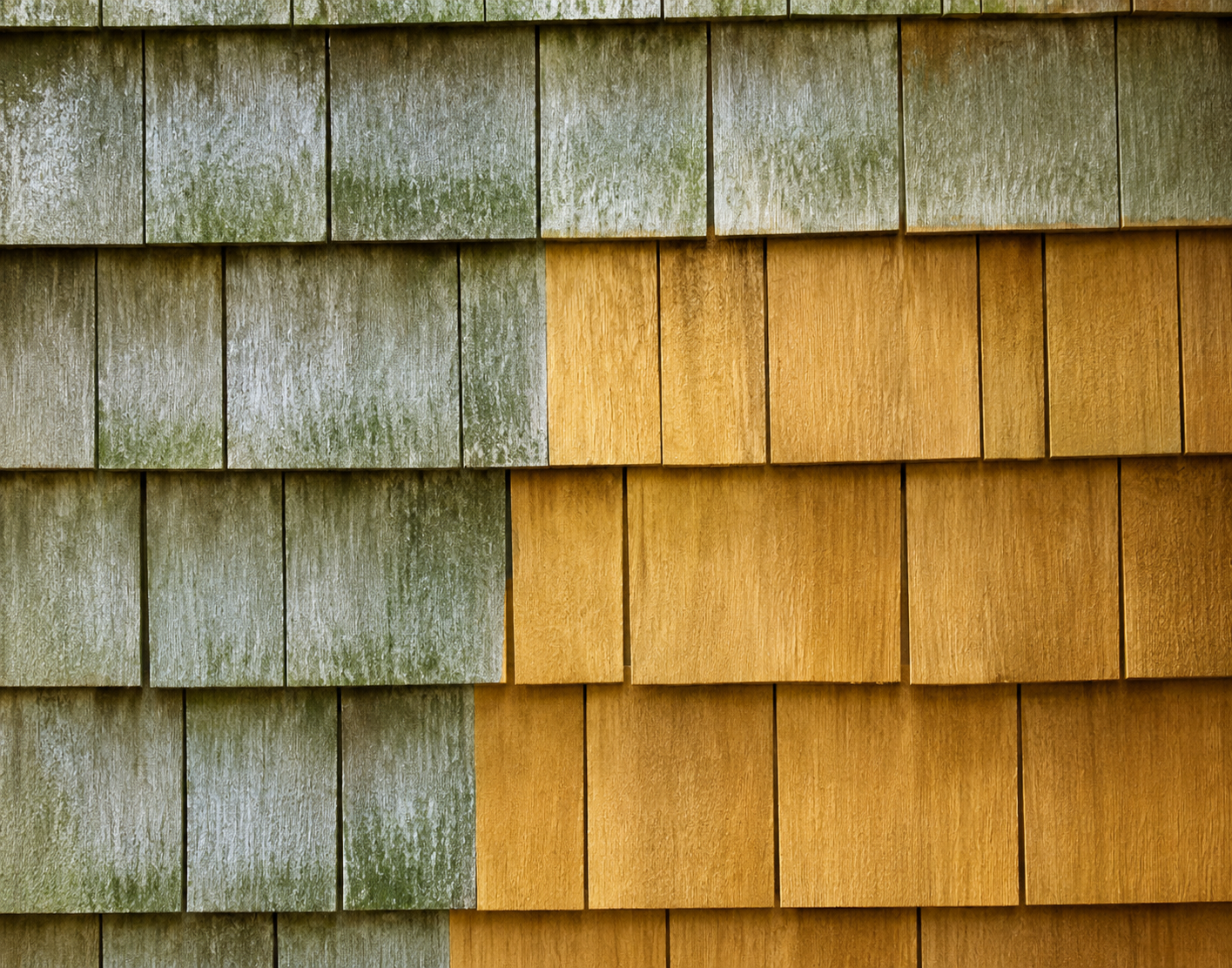 Close-up of weathered wooden shingles in greenish gray and golden yellow sections