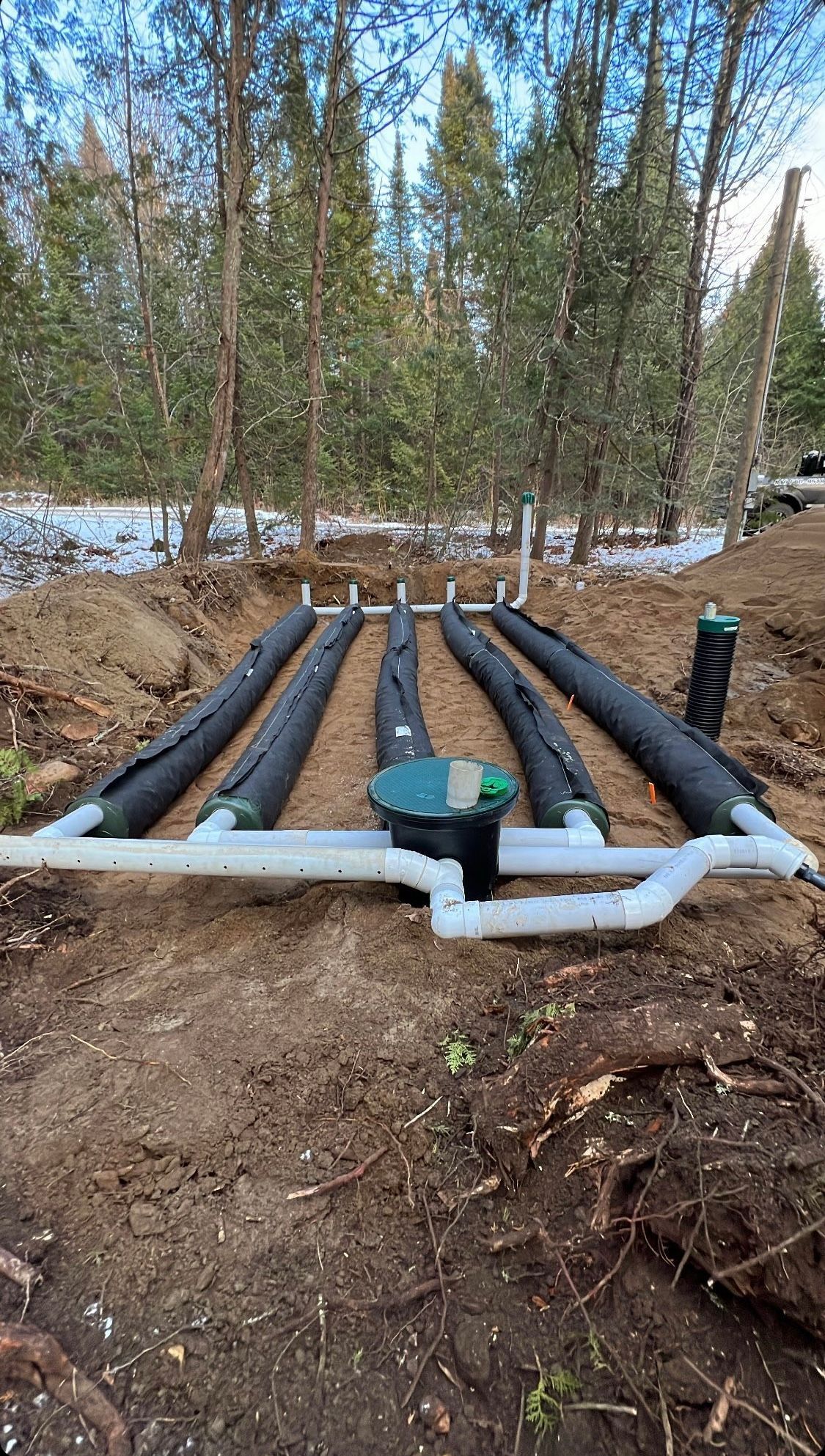 Une fosse septique est en cours d'installation au milieu d'une forêt.
