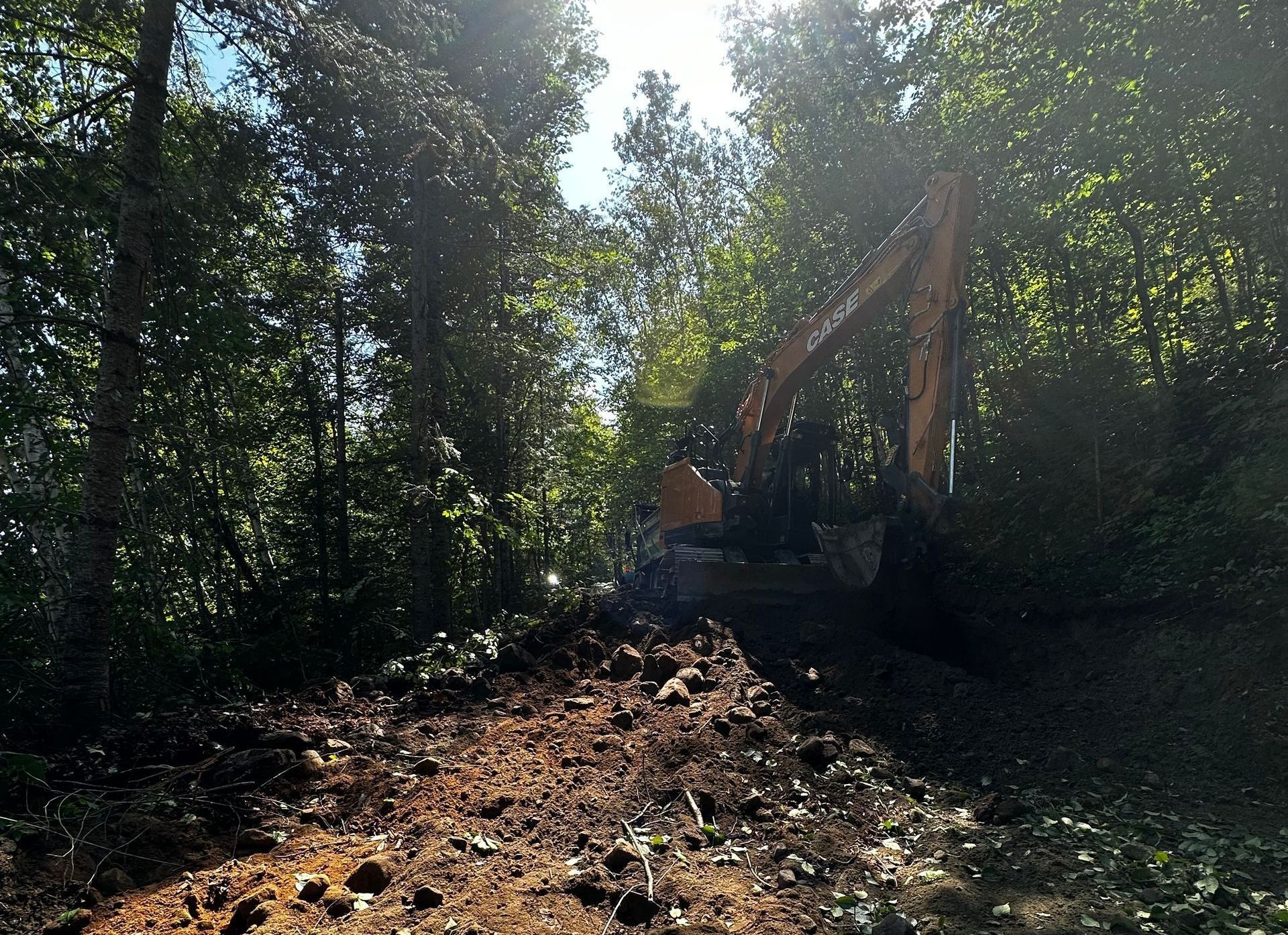 Une excavatrice travaille dans une zone boisée, ramassant de la terre. La lumière du soleil filtre à travers les arbres.