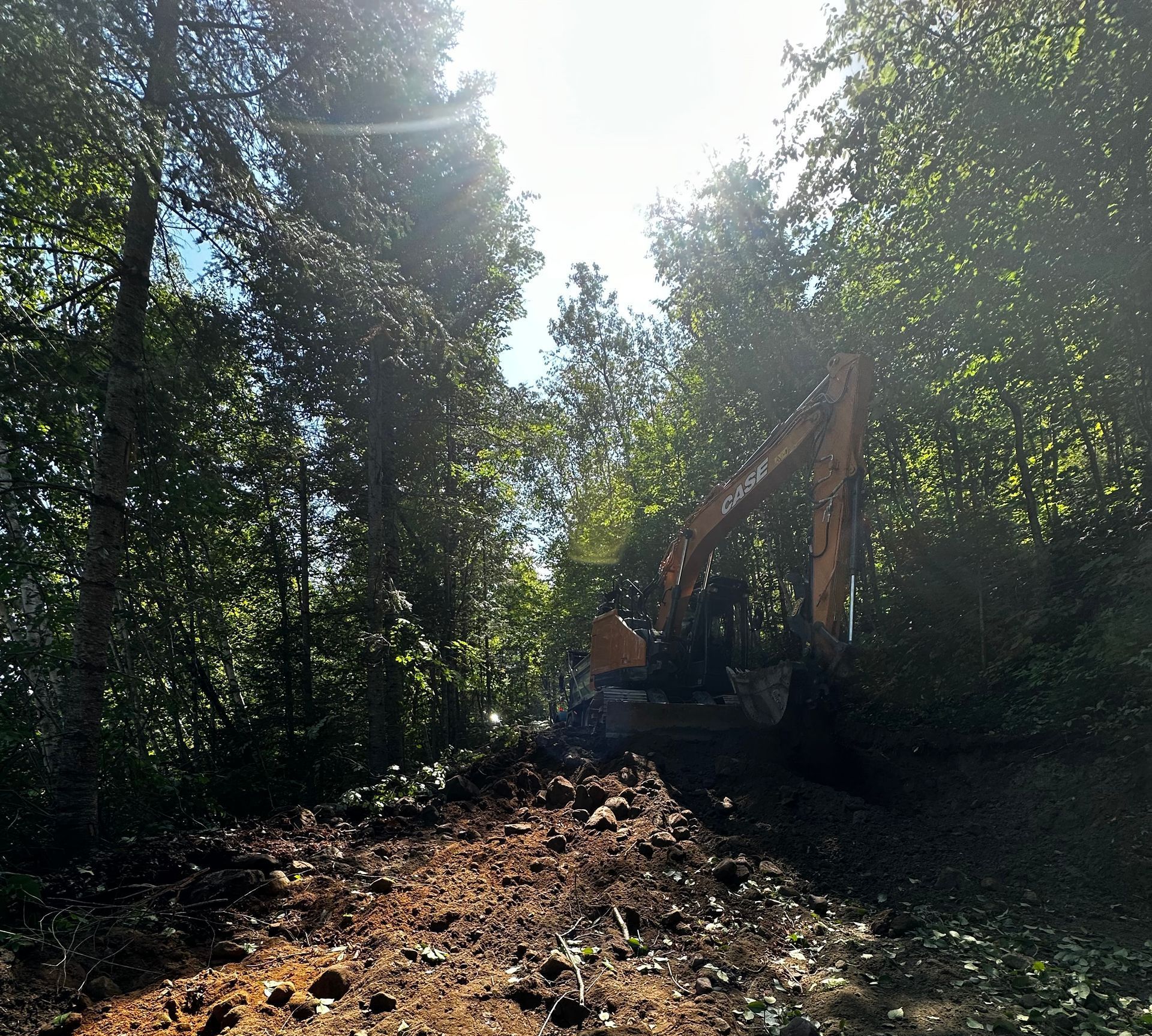 Une pelleteuse dégage un passage à travers les arbres ; terre et débris au premier plan, soleil filtrant à travers les feuilles.