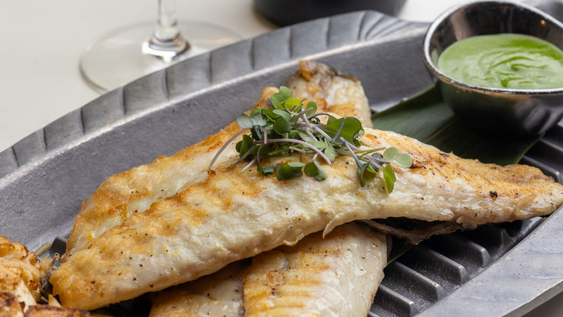 Green and brown olives on a branch with long, green leaves; close-up shot.