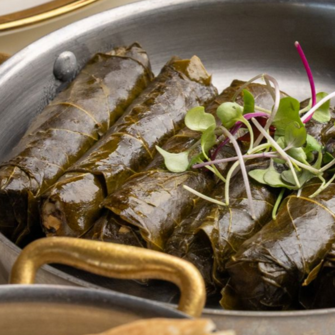 Green and brown olives on a branch with long, green leaves; close-up shot.