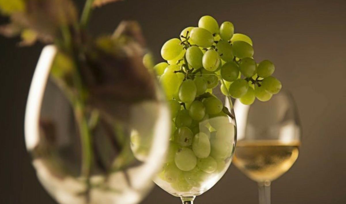 Abbina il nostro eccellente crudo di pesce con una selezione di vini pregiati al Ristorante Vela Blu. Esplora la