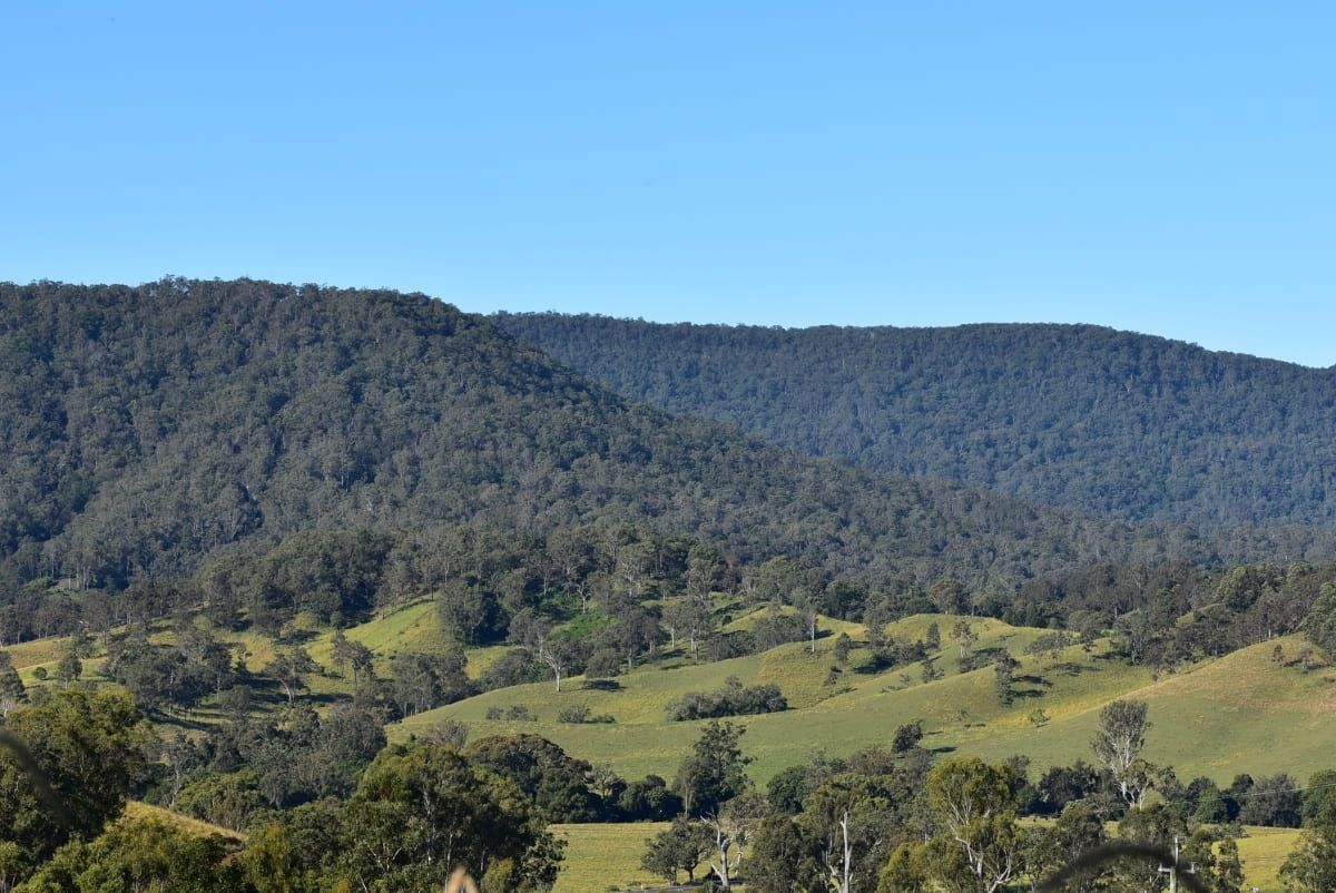 A View of a Lush Green Hillside With Trees and Mountains in the Background — B & B Timbers Ballina In Casino, NSW