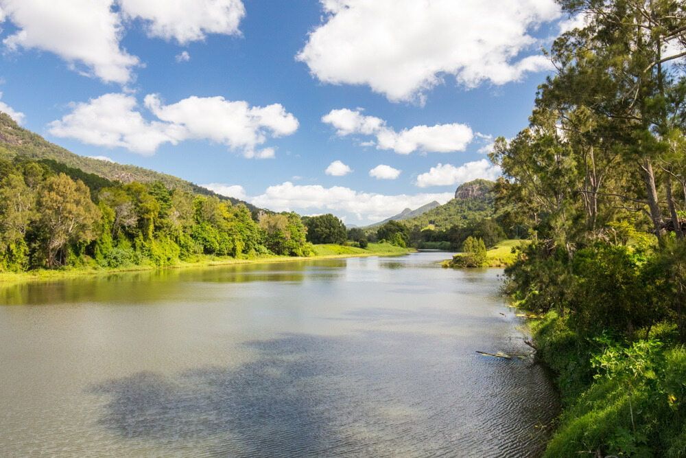 A River Surrounded by Trees and Mountains on a Sunny Day — B & B Timbers Ballina In Murwillumbah, NSW