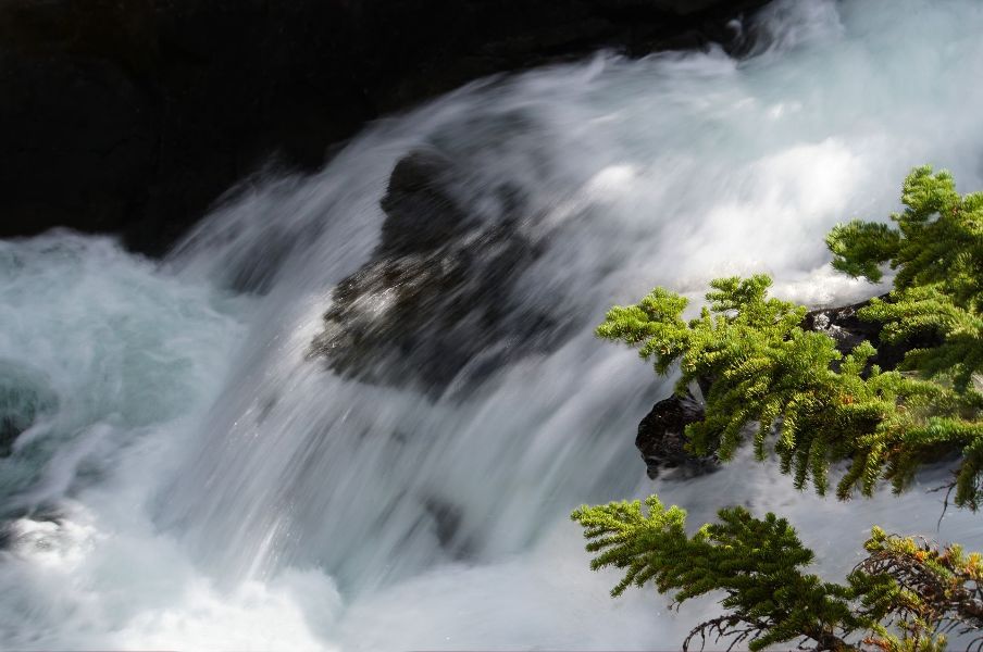 A close up of a waterfall with a tree in the foreground