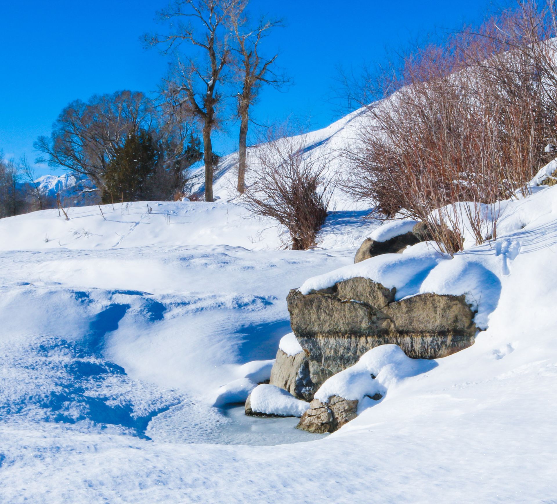 A snowy landscape with trees and rocks in the foreground