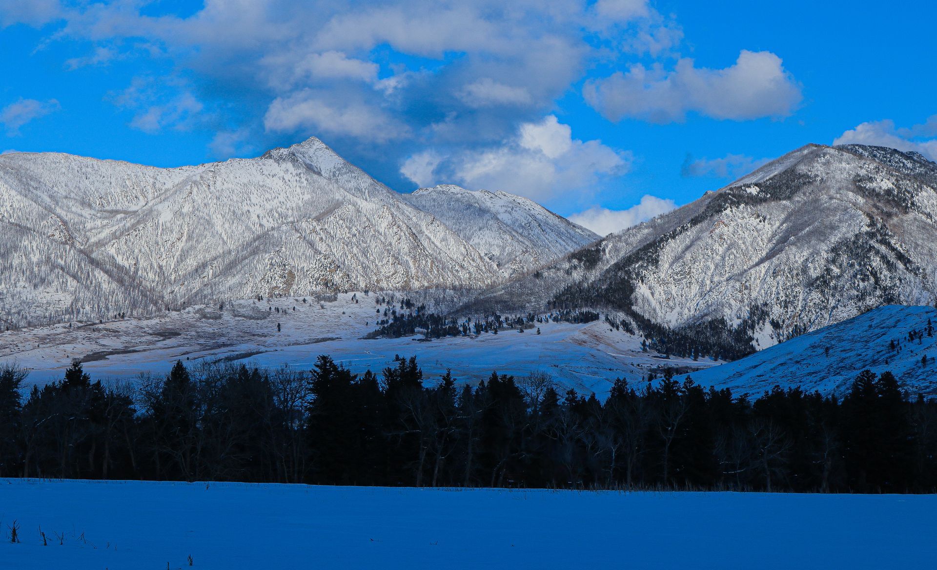 A snowy mountain range with trees in the foreground