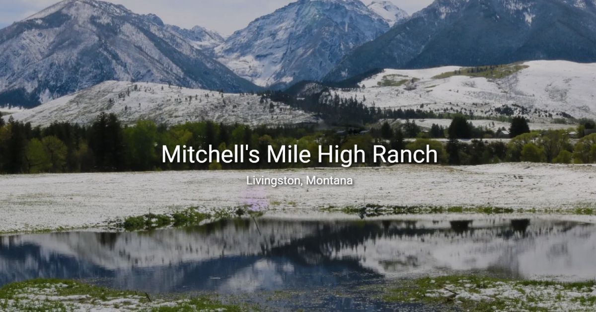 Guide to Exploring Livingston, MT - Mitchell's Milehigh Ranch