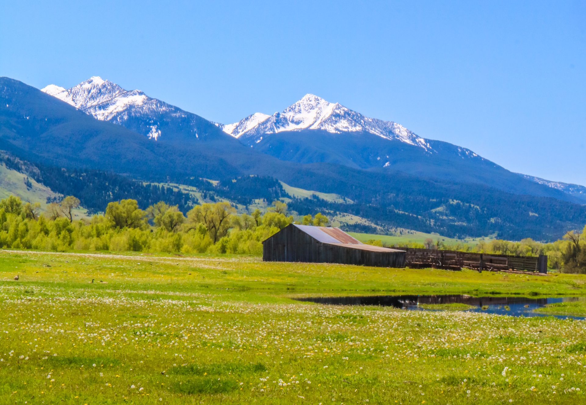 A barn in a field with mountains in the background