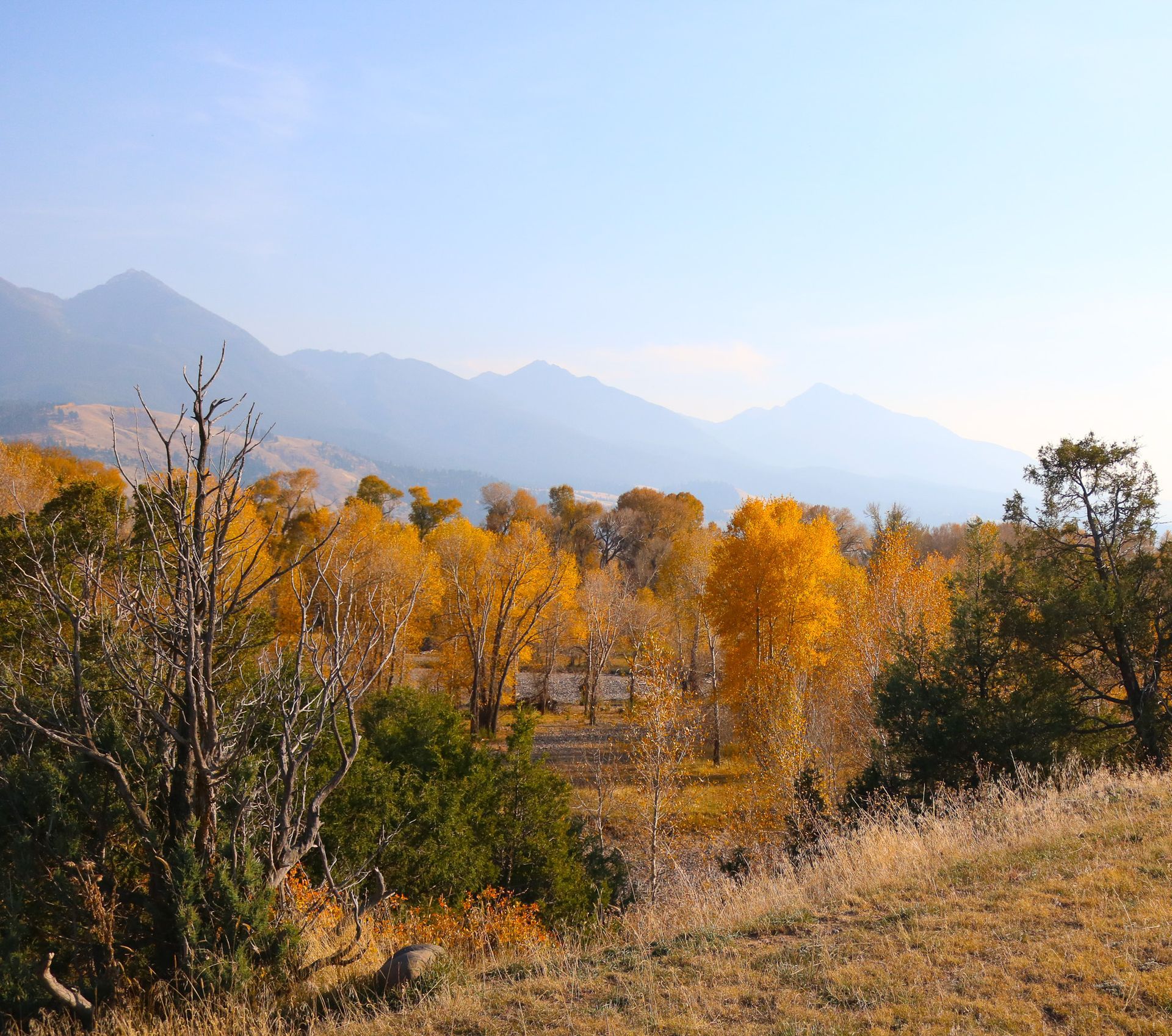 Two rocking chairs and a table in a log cabin
