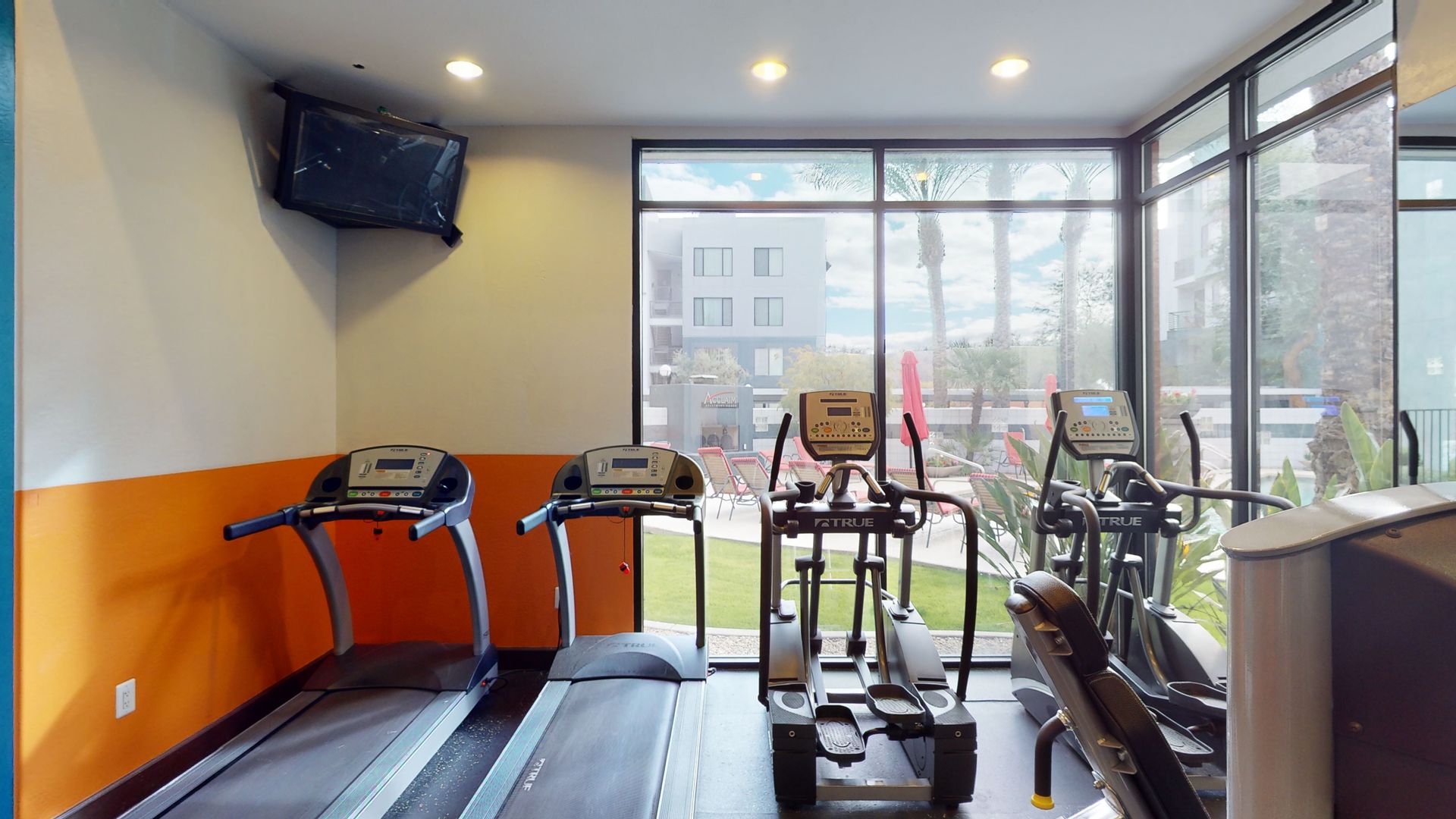 A gym with treadmills , exercise bikes , and a television on the wall.