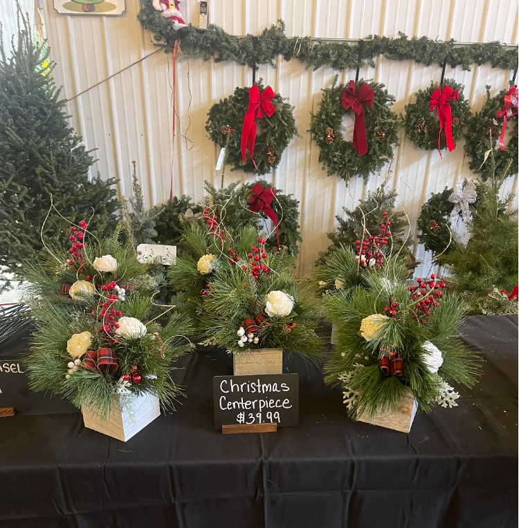 Three Christmas centerpieces with pine and white roses sit on a black table beneath hanging evergreen wreaths.