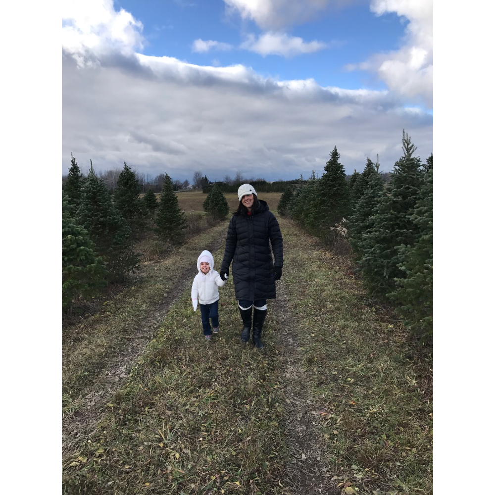 A person and a child walk hand-in-hand down a path between rows of evergreen trees under a cloudy sky.
