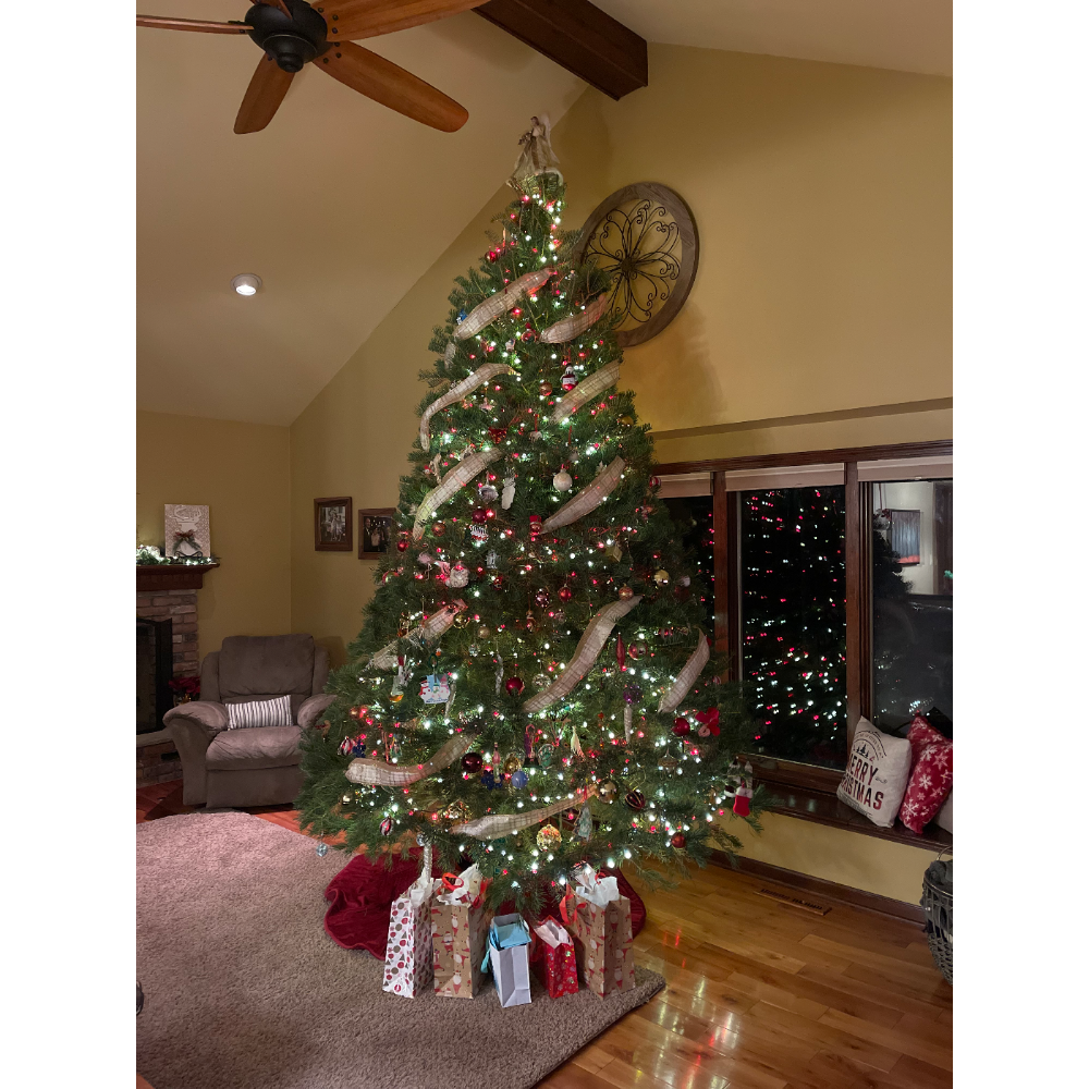 A tall, decorated Christmas tree stands in a living room, wrapped in ribbon and lights, with wrapped gifts at its base.