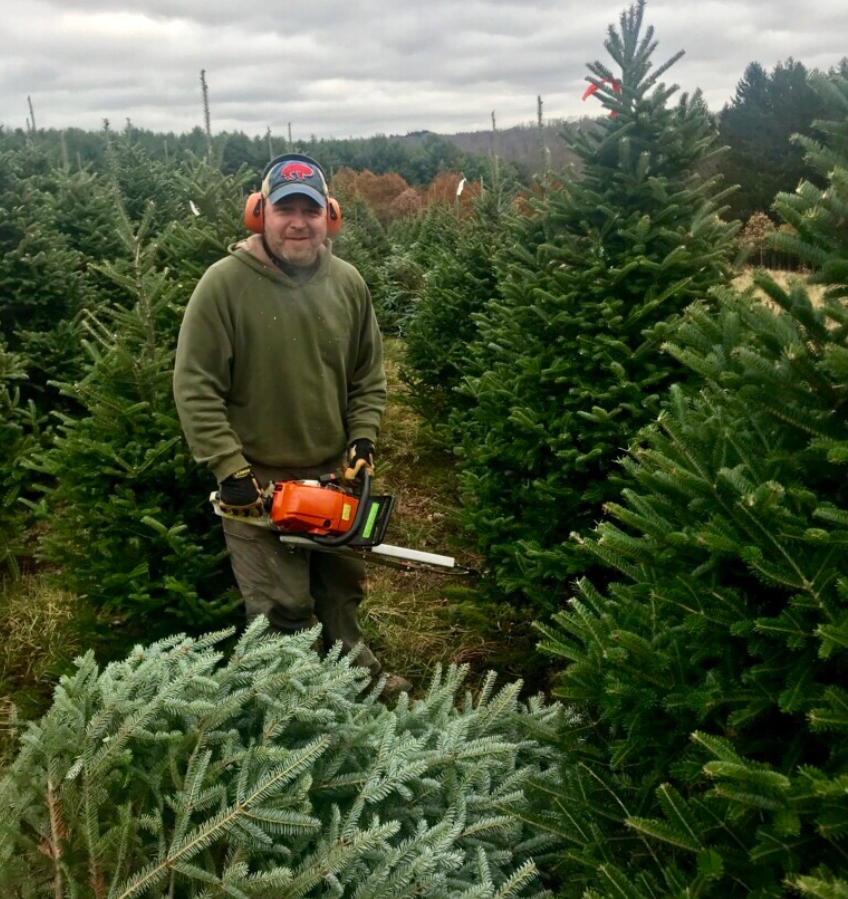 A person in a green hoodie and ear protection holds a chainsaw while standing in a Christmas tree farm.