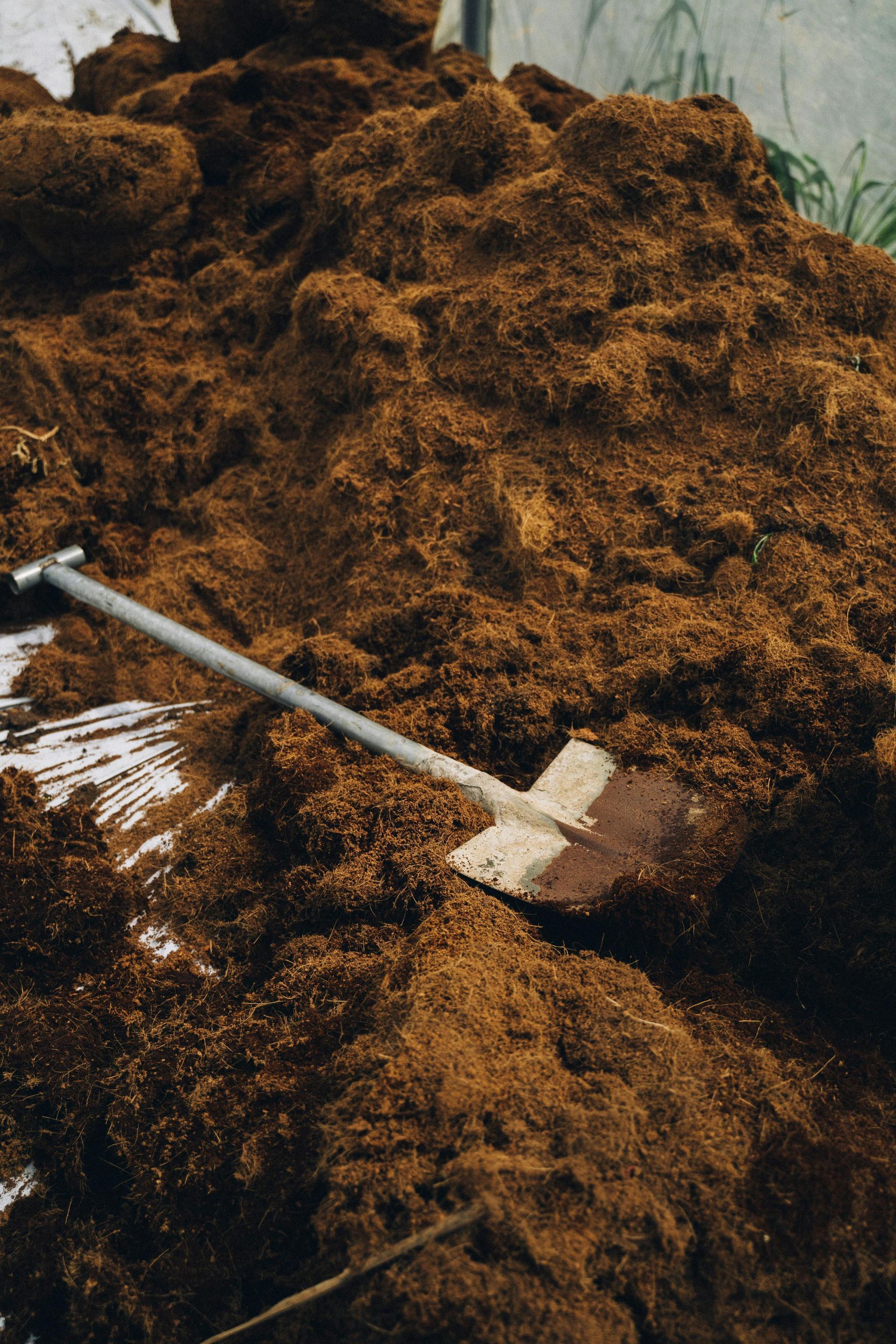 Pile of brown, shredded organic material with a shovel resting on top.