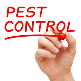 Written Pest Control - Pest Control Company in Uniontown, PA