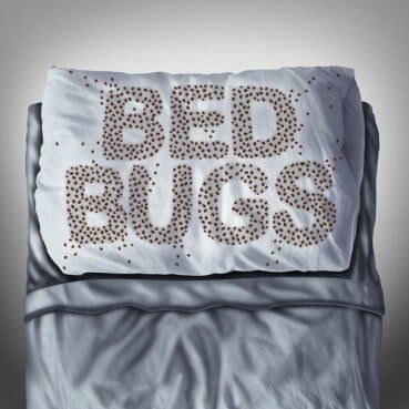 Bed Bug Sign — Pest Control in Uniontown, PA