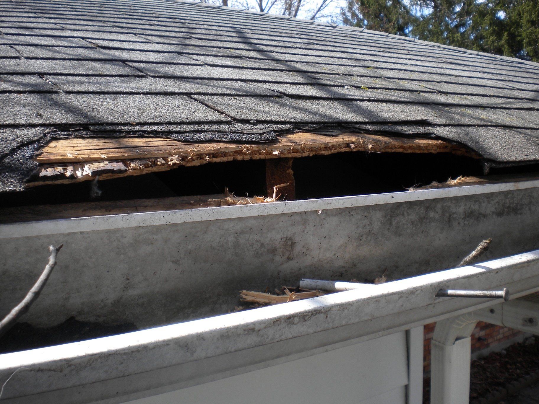 Damaged Roof — Uniontown, PA — Vermin Control Co.