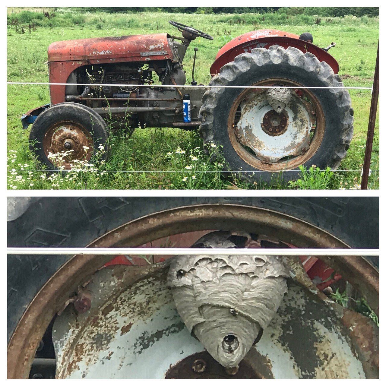 Hornet Nest On Tractor's Wheel — Uniontown, PA — Vermin Control Co.