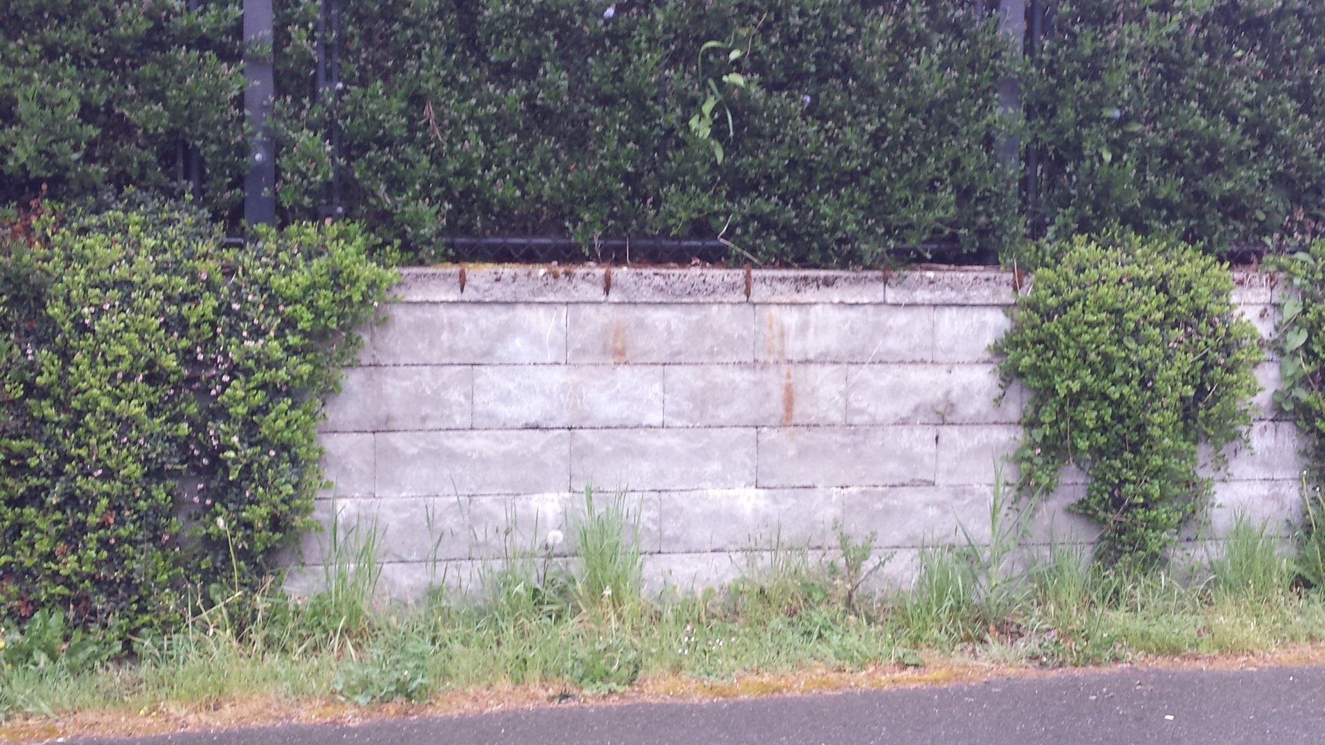 A retaining wall made of concrete blocks