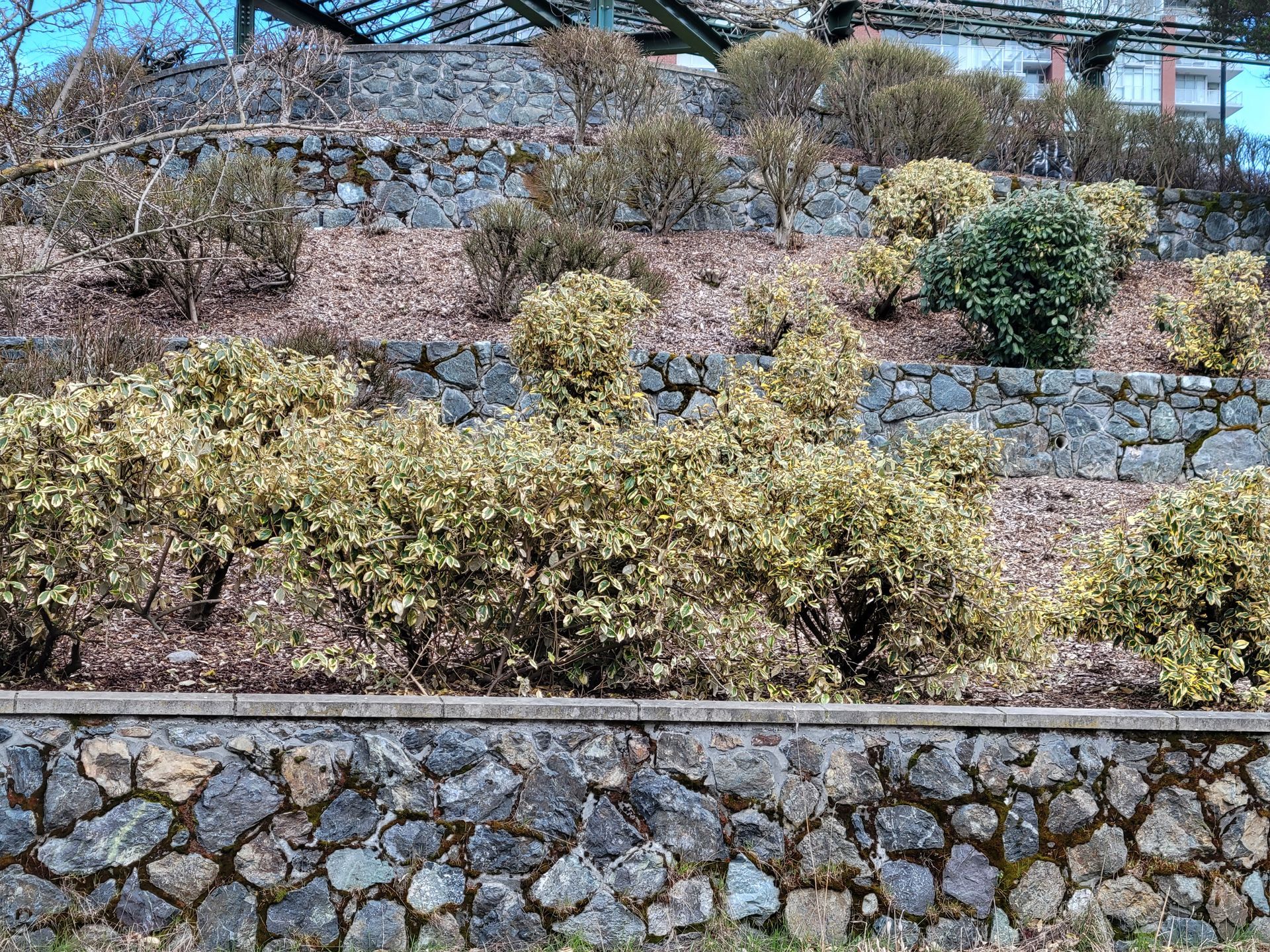 Victoria Retaining Walls 3 level stone wall