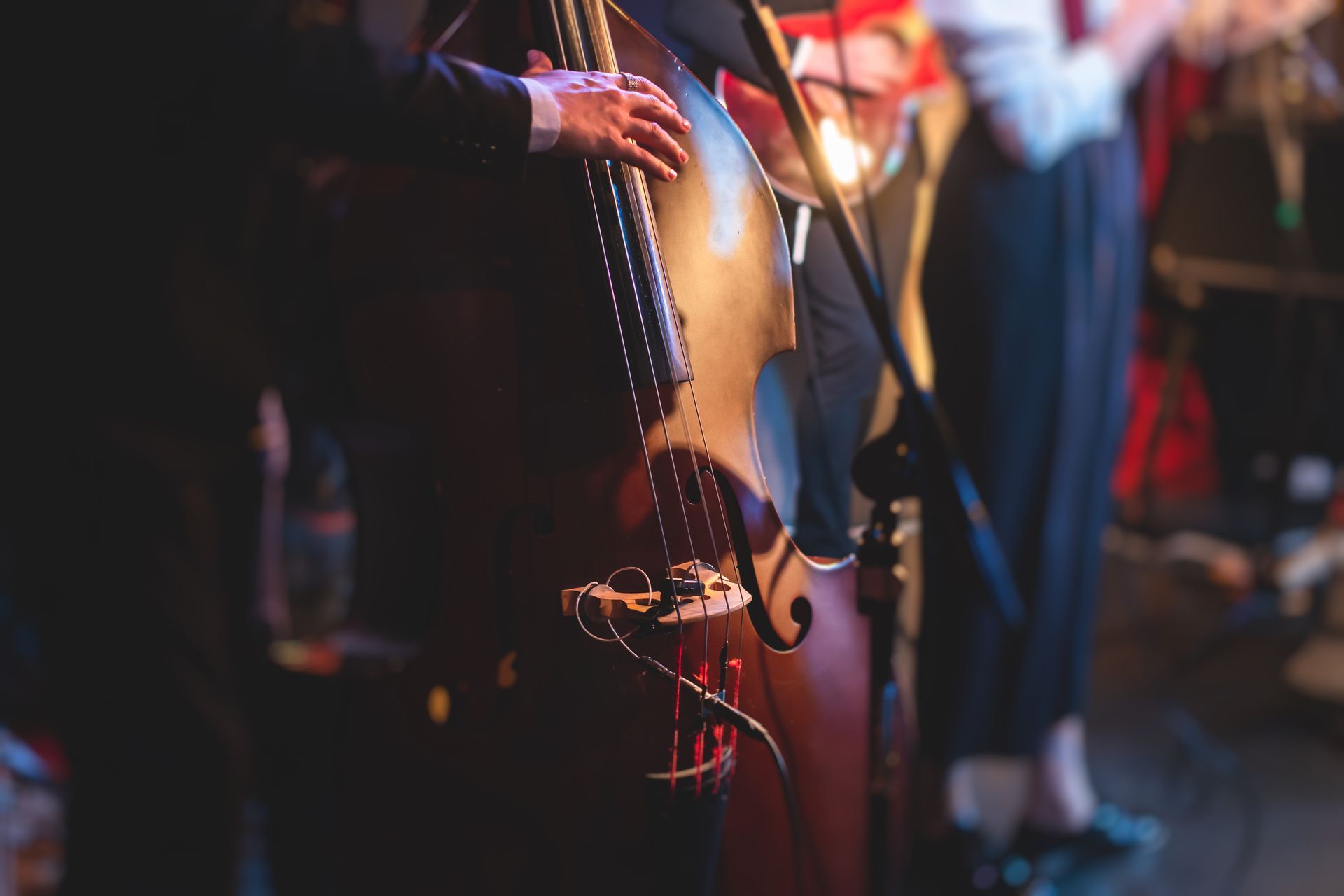 Musician playing upright bass on a dimly lit stage, with blurred performers in the background
