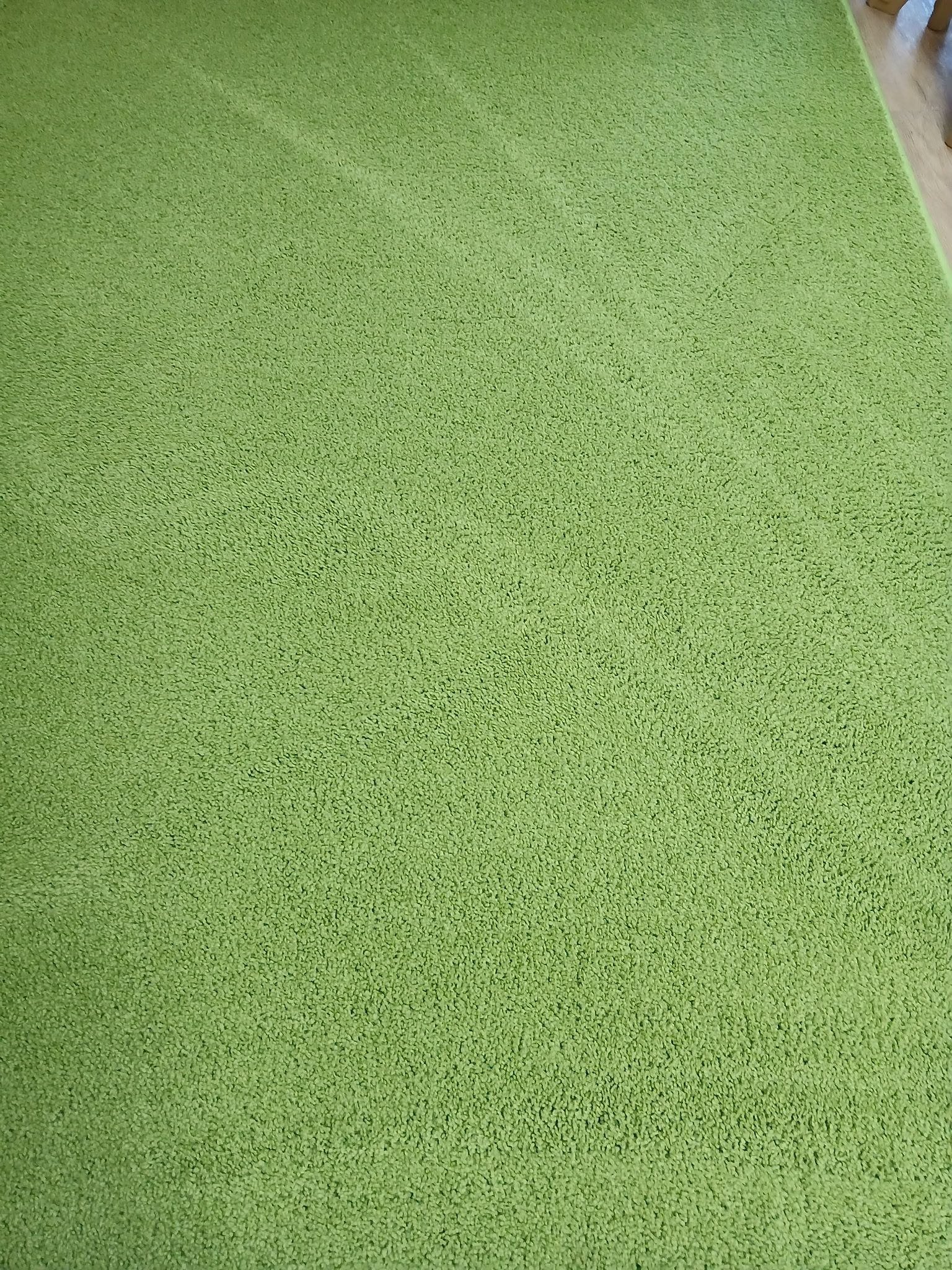A top-down view of a bright green carpet with a dense, speckled texture.