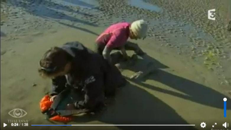 Épreuve des sables mouvants formation des guides de la baie du Mont Saint Michel