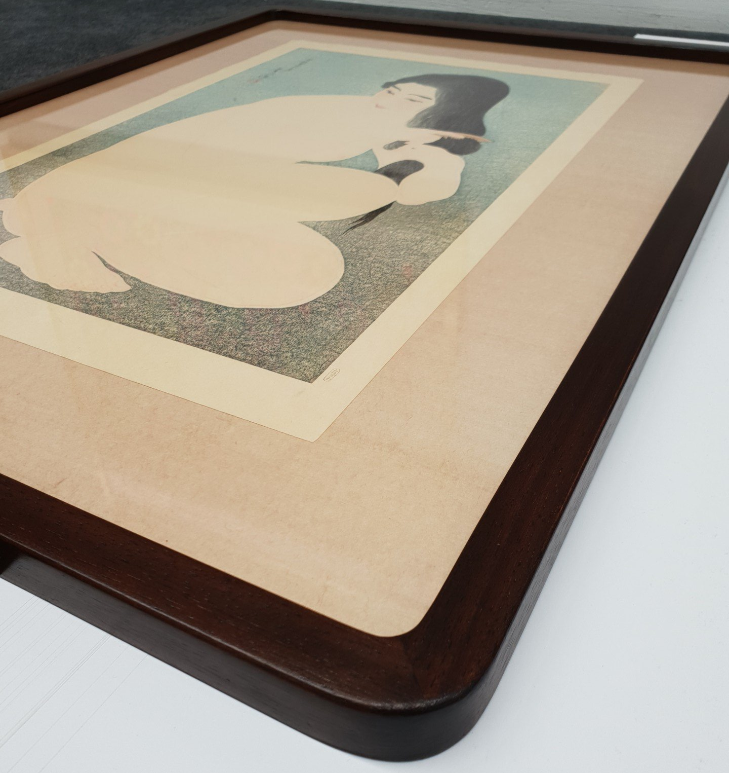 Conservation Framing