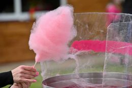 A person is holding a stick of pink cotton candy.