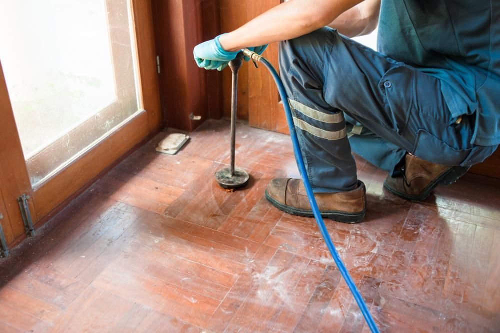 Technician in work boots and gloves using pest control equipment to treat wooden floor near  glass.