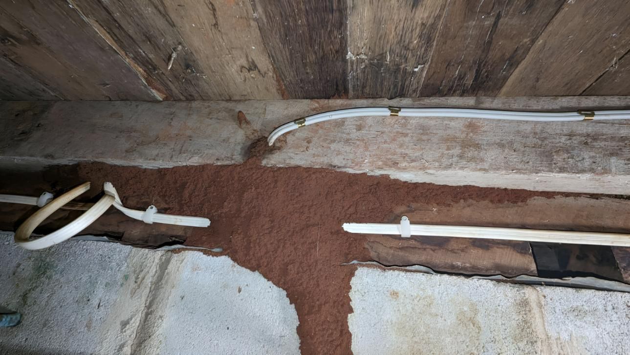 House With a Termite on Their Beam — Keiran Mortimer Pest Control in Oakey, QLD