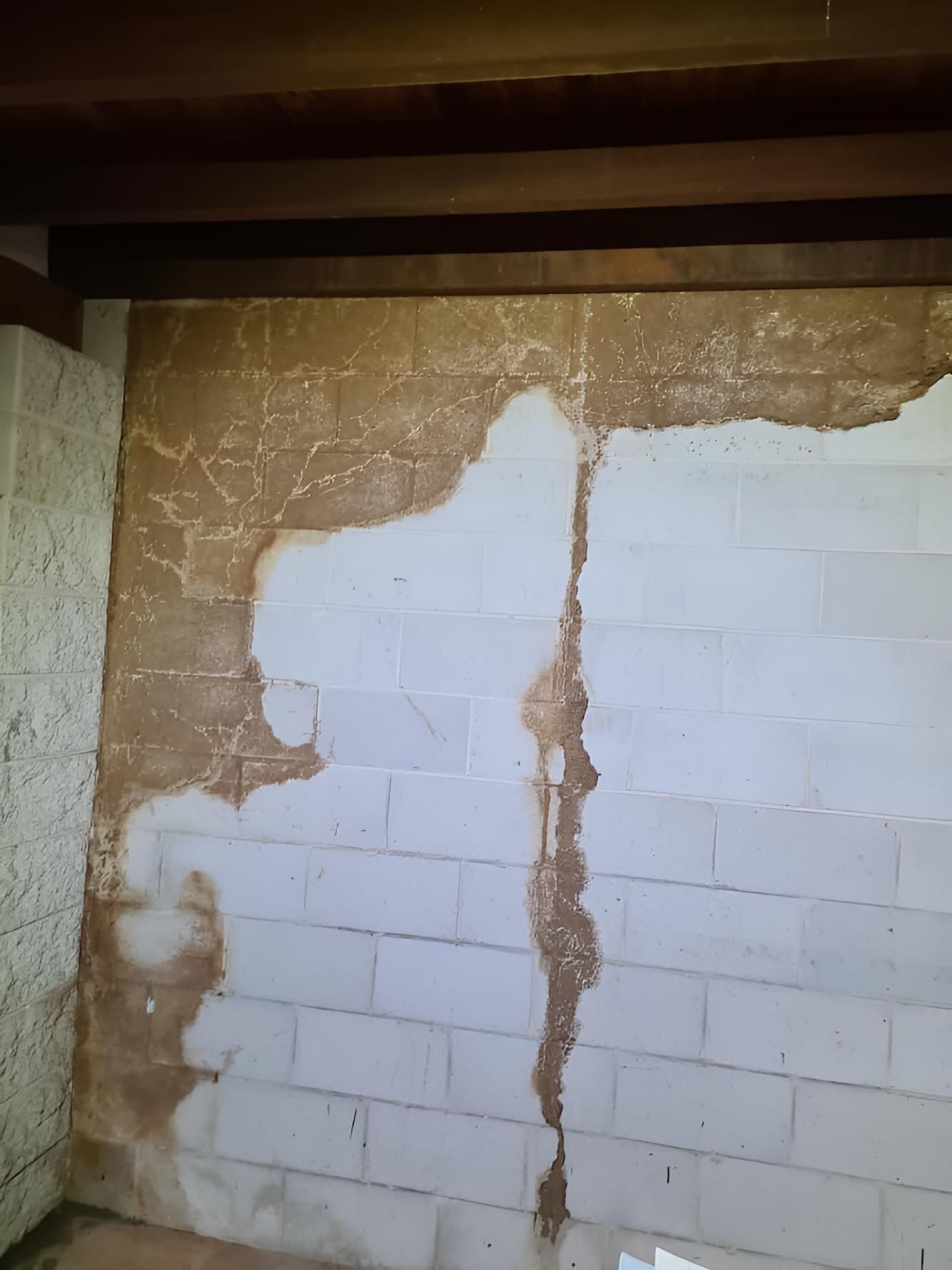 Pest Damaging House — Keiran Mortimer Pest Control in Oakey, QLD