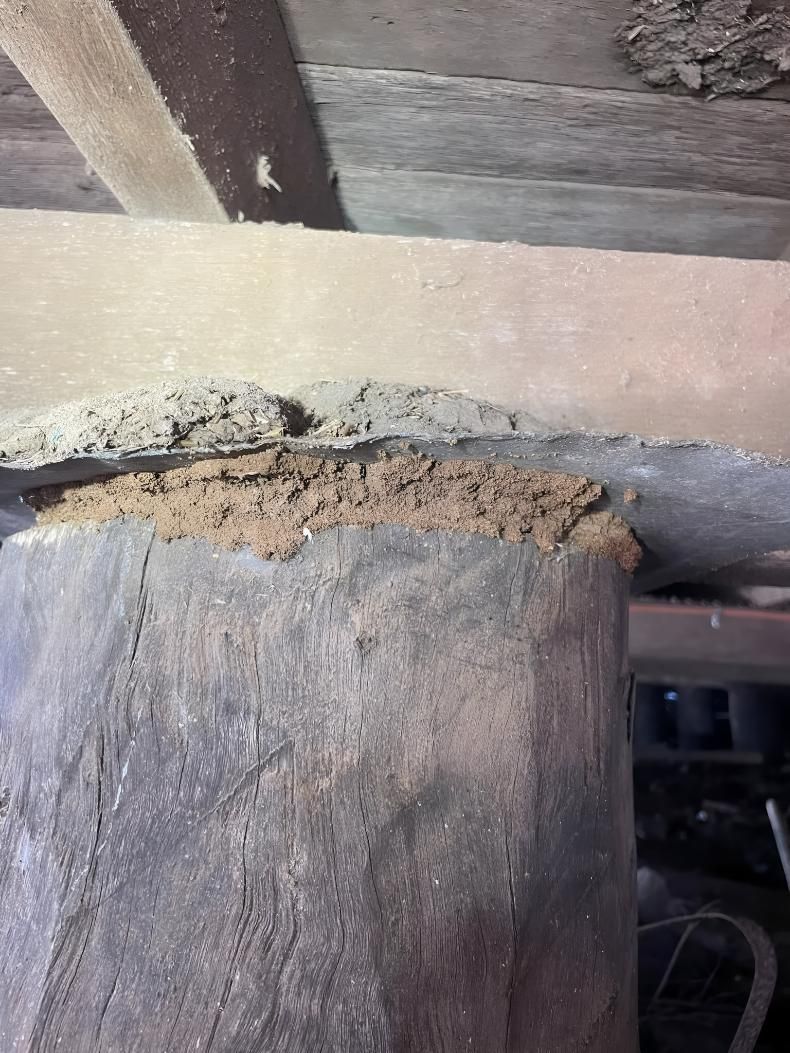 Close Up of a Termite Nest on a Wooden Post — Keiran Mortimer Pest Control in Westbrook, QLD