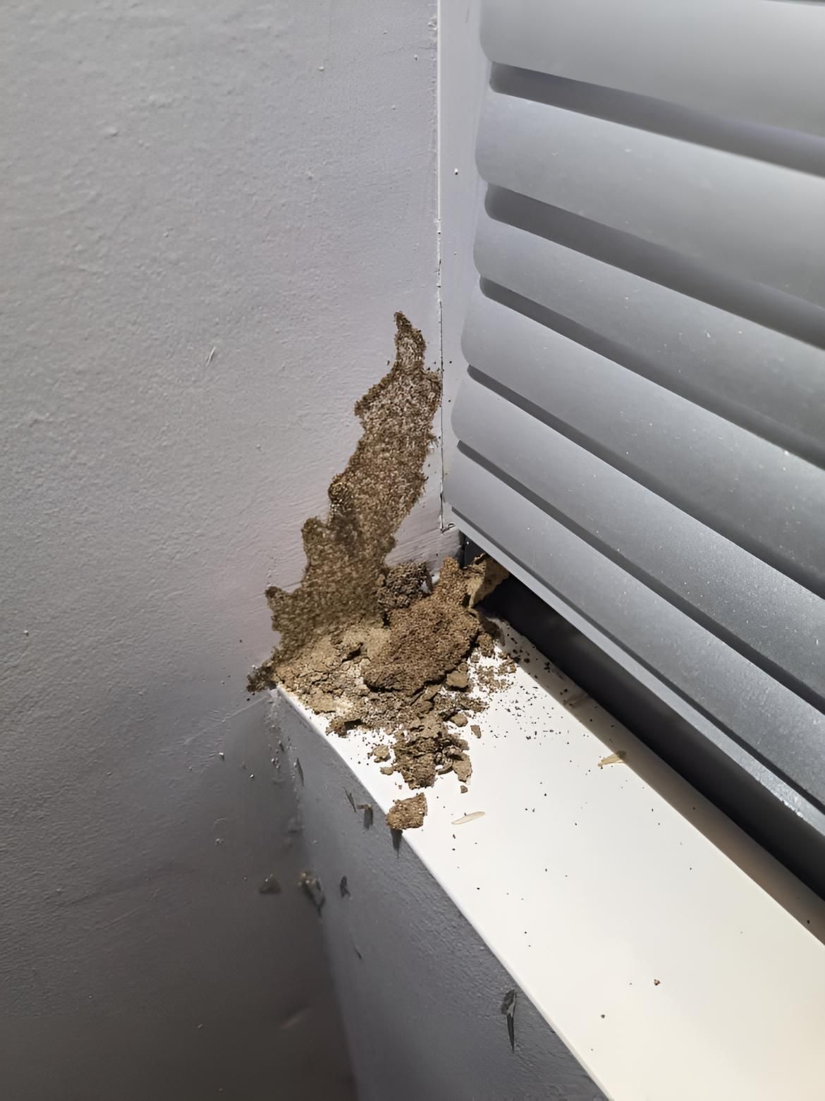 Store With a Pest in It — Keiran Mortimer Pest Control in Oakey, QLD