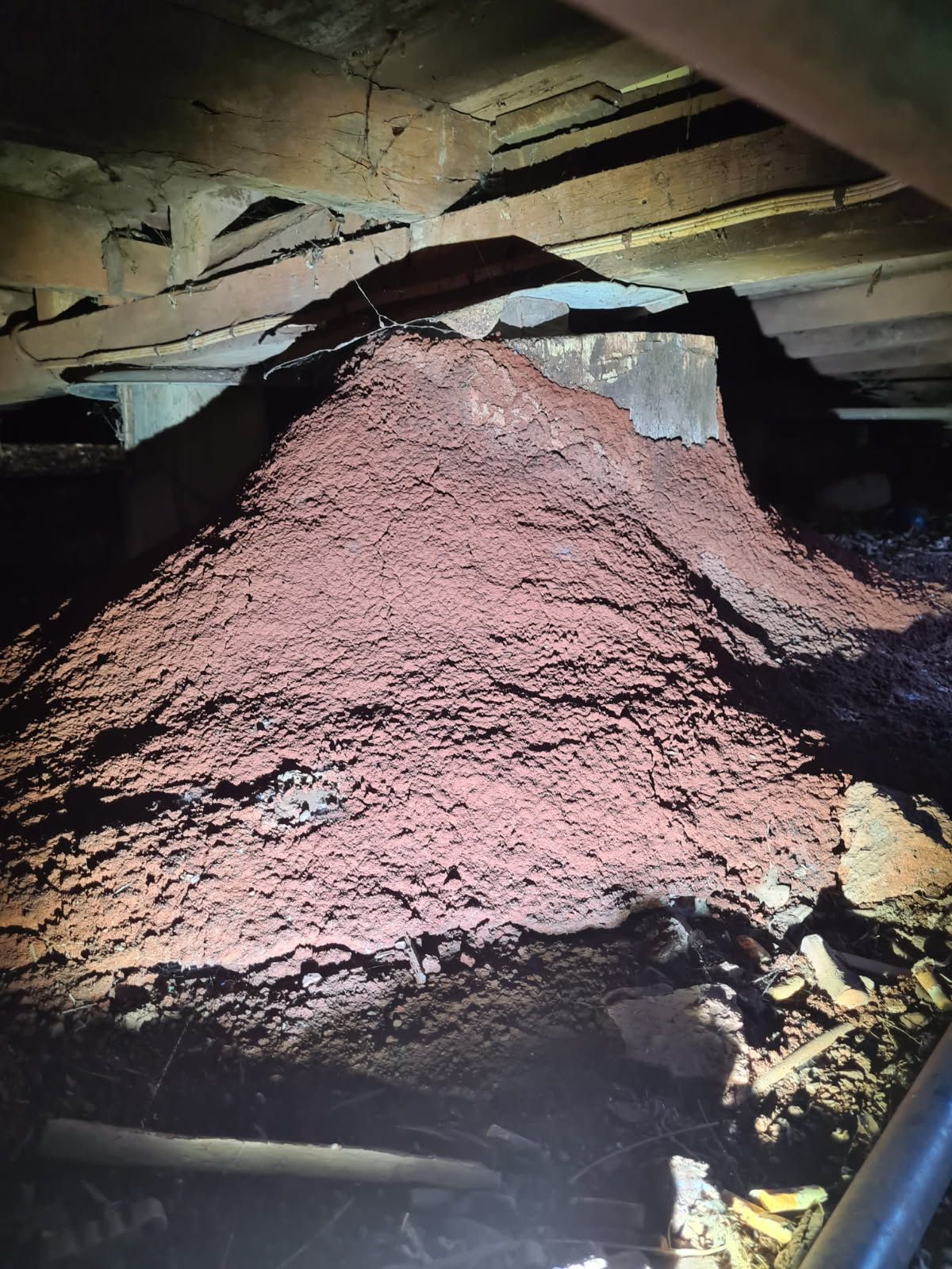 Close Up of a Termite Mound Under a House — Keiran Mortimer Pest Control in Wilsonton, QLD