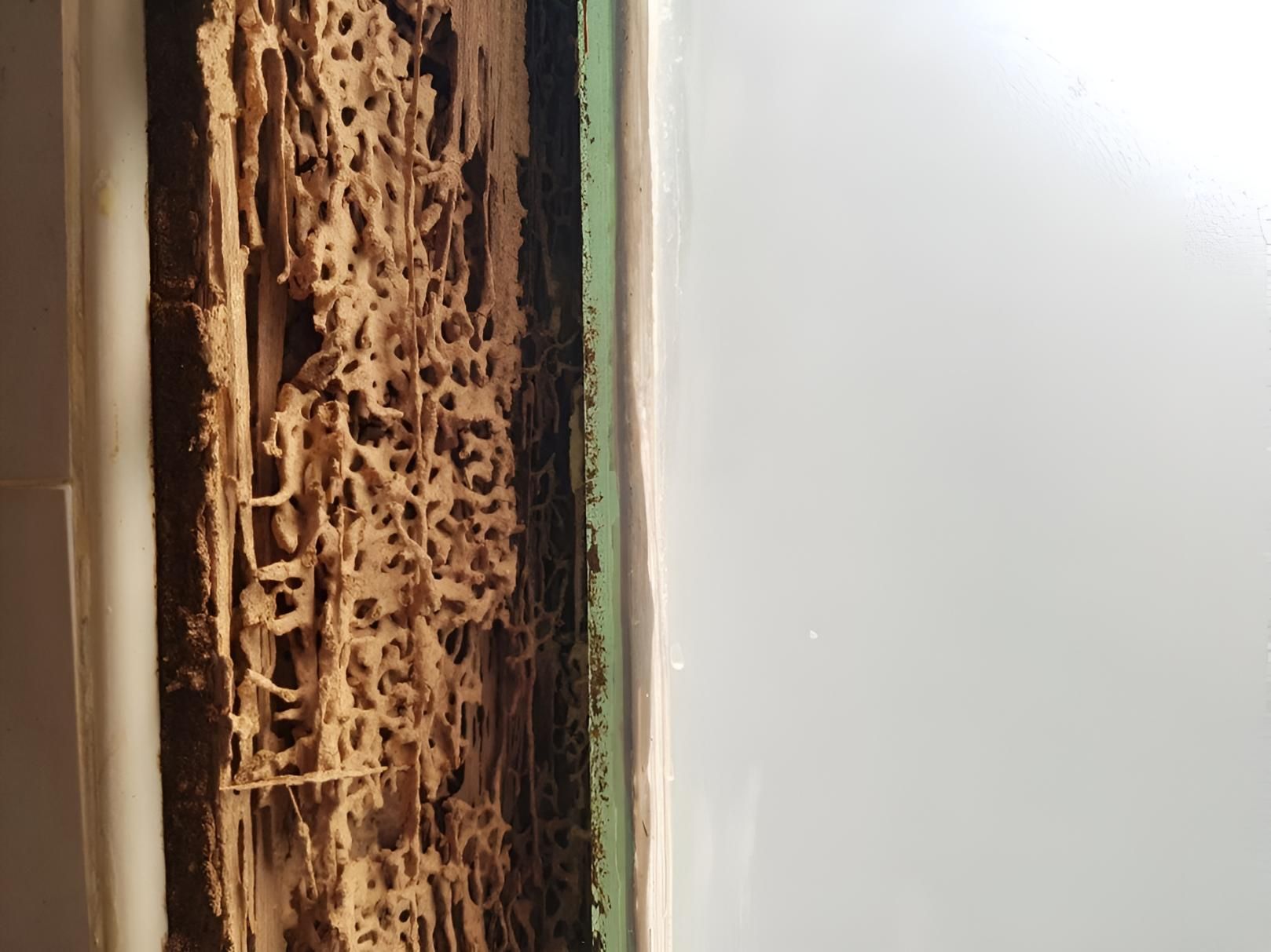 Close Up of a Termite Damaged Wall — Keiran Mortimer Pest Control in Wilsonton, QLD