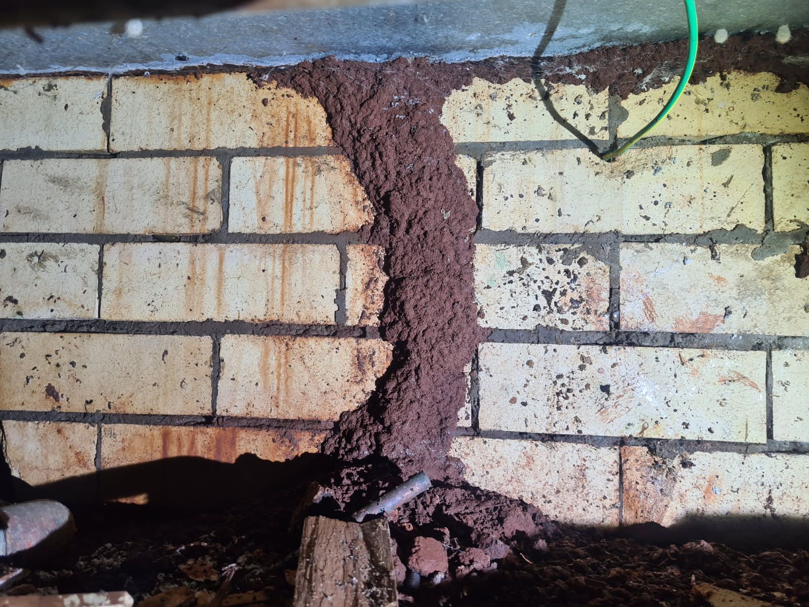 Termites On Brick Foundation Under House— Keiran Mortimer Pest Control in Wilsonton, QLD