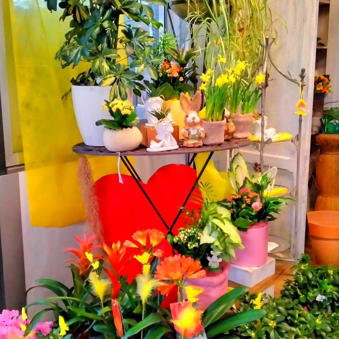 Una mostra di piante in vaso con un cuore rosso al centro
